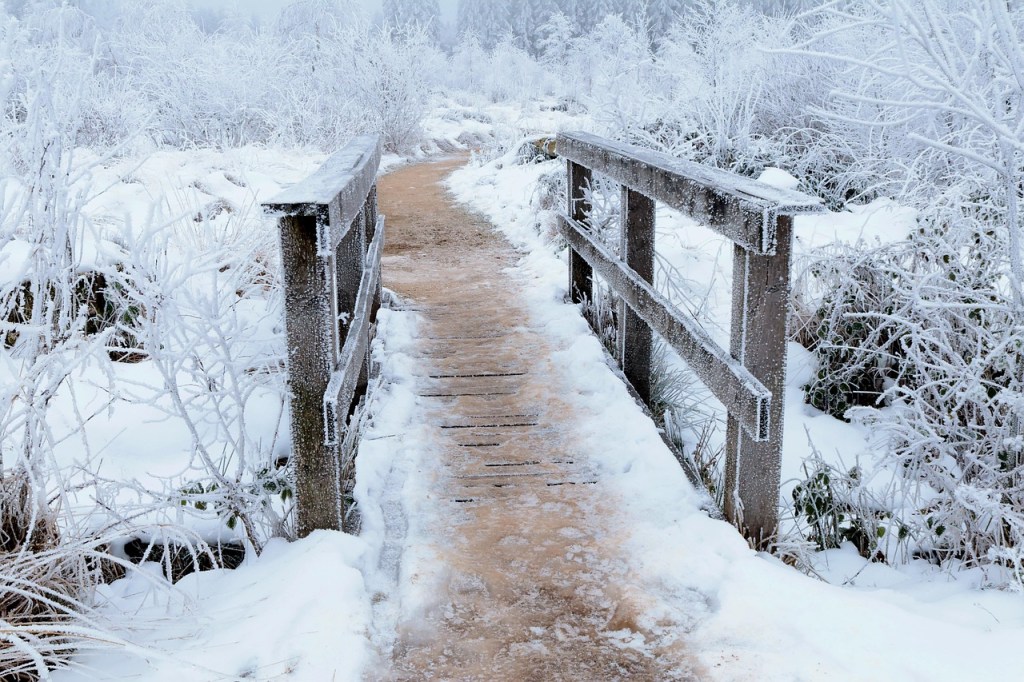 An Ayurvedic Guide to&nbsp;Winter